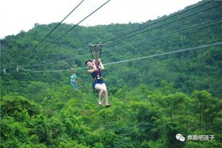 高空滑索建造攻略：揭秘《死亡搁浅2》高效搭建技巧