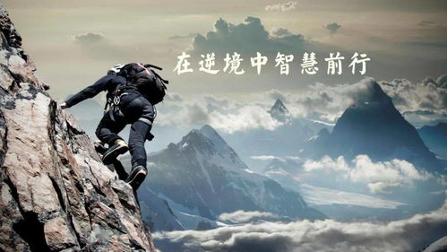 《超逼真攻城》攀岩技巧揭秘：轻松通关攻略大揭秘