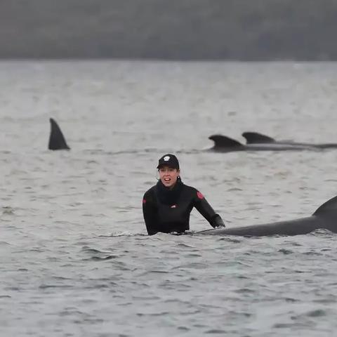 《死亡搁浅2》全攻略揭秘：深度解析通关技巧，解锁隐藏要素！