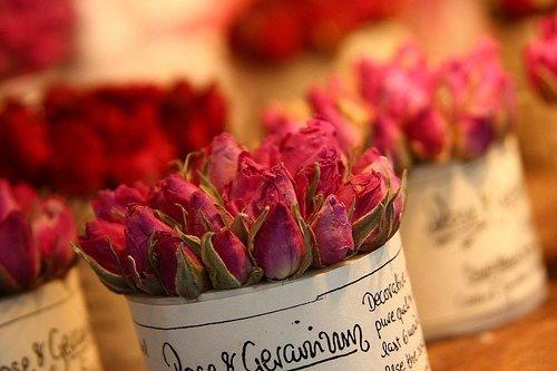 《情感反诈模拟器》玫瑰花攻略：揭秘完美结局达成秘诀！