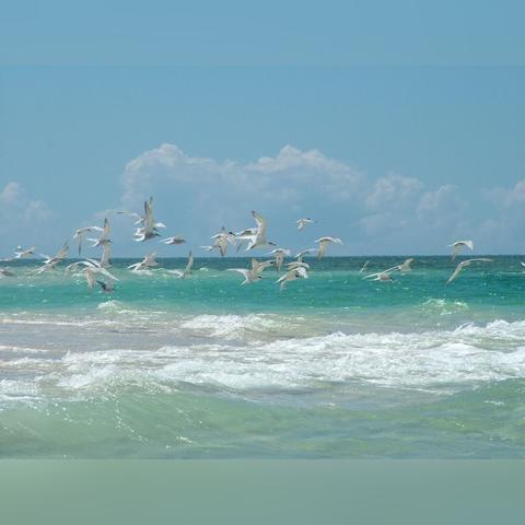 《巴尔的遗产》装备品质解析：提升战斗力必备攻略