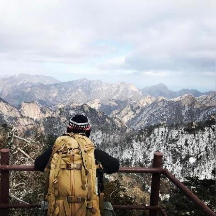 《动物栏桌面牧场》背包乱斗新玩法：体验农场激战乐趣