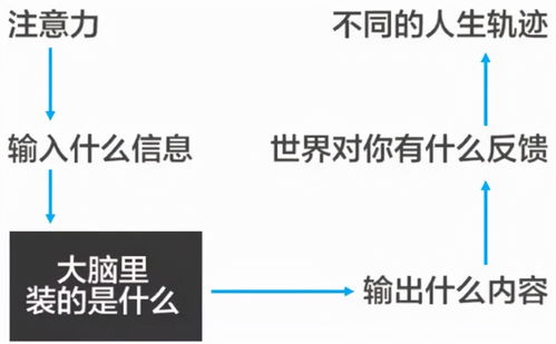 《多重人生》深度攻略：全任务详解与资源点精准定位，解锁人生新境界