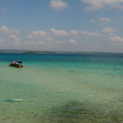 《巴尔的遗产》交易攻略：深度解析，解锁财富新秘籍