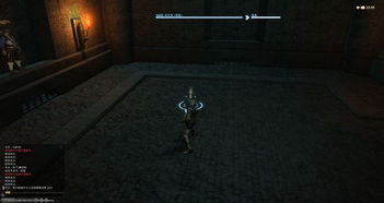 《最终幻想14水晶世界》深度解析：揭秘热门职业，探索全新游戏体验