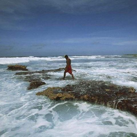《莱恩岛生存指南》新手必看！掌握独家生存技巧，轻松闯荡莱恩岛