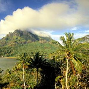《莱恩岛生存指南》独家获取攻略，揭秘材料图鉴获取秘籍