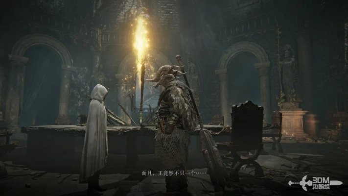 艾尔登法环复仇者攻略：掌握黑夜君临复仇技巧，轻松制胜！