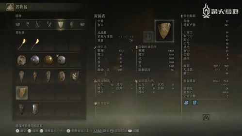 《艾尔登法环》复仇者解锁必备！野排通关心得攻略大揭秘