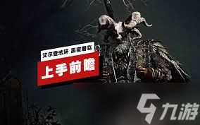 《艾尔登法环》黑夜君临无赖攻略：深度解析玩法技巧与优劣解析