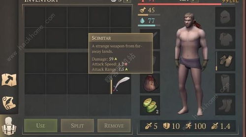 《幻想生活i》钢铁龟壳攻略：高效获取方法大揭秘