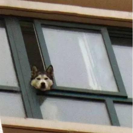 《幻想生活》独门秘籍：轻松获取毕业武器素材，解锁转圈圈龙与偷时少女！