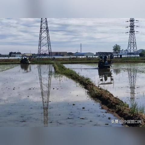 《胜利女神新希望》兑换码获取攻略：轻松兑换，解锁新希望！