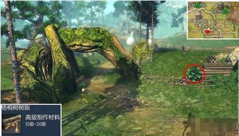 《光与影33号远征队》白树攻略：揭秘全收集技巧，高效探索指南！