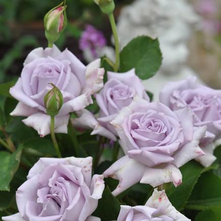 《最终幻想14》探秘水晶世界：独家染色拍照技巧大公开