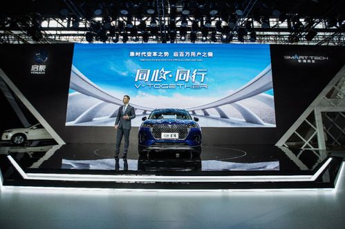 狂野巴风德卡组攻略：揭秘制胜秘籍，轻松登顶巅峰