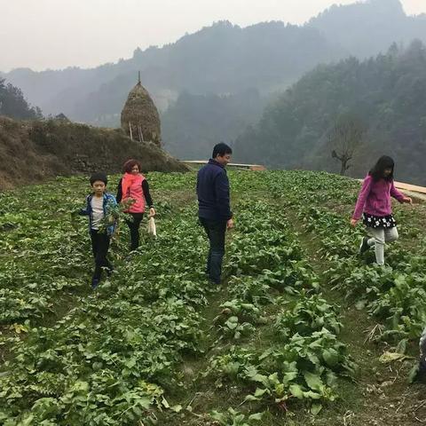 《废弃工厂寻宝记:队友变威胁?惊险试玩体验》 《废弃工厂寻宝记:队友变威胁?惊险试玩体验》