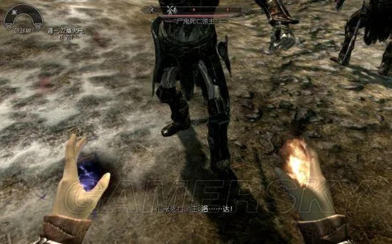 上古卷轴4湮灭法师攻略：高效构筑技巧深度解析