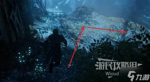 《光与影33号远征队》浮光结攻略：揭秘高效获取技巧