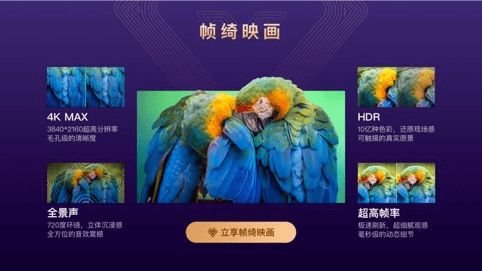 《巴特拉》评测：全面体验，不止是麻雀变凤凰