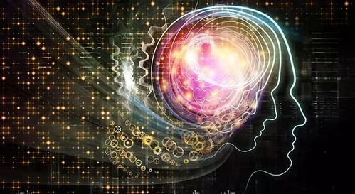 理智驾驭，节奏制胜：《血根》评测新视角