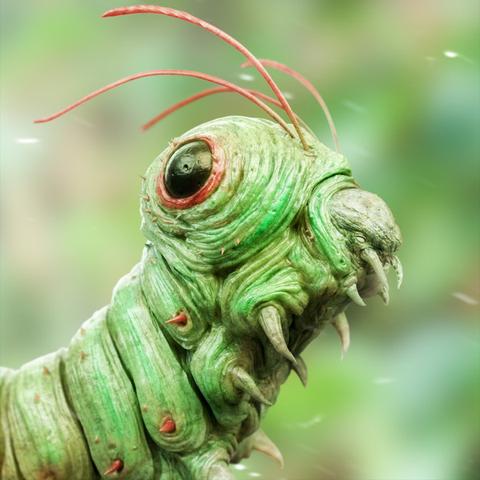 《宝可梦卡牌Pocket》首年狂揽13亿，创新摇钱树崛起！