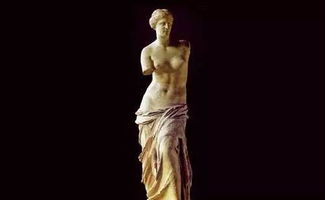 《维纳斯璀璨假期》美学升级，死或生XTREME矜持魅力再绽放