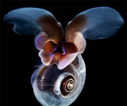 《苍翼：混沌效应》评测：动作盛宴新体验，肉鸽玩家必入神作