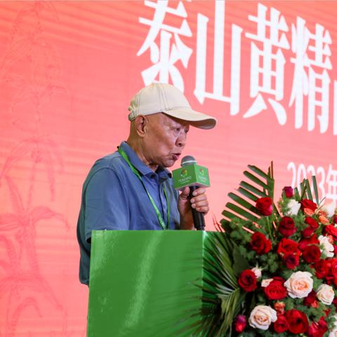 《丝之歌》神秘大更新，全新价值体验即将开启！