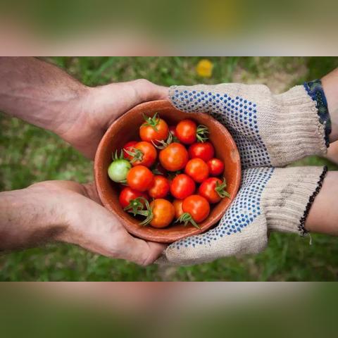 新手痛点，职业选择与入门陷阱如何破解？