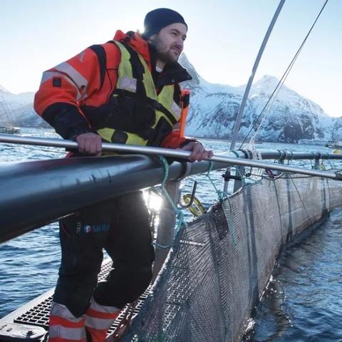 风云官方网站2025终极探秘，是真金矿还是玩家噩梦？