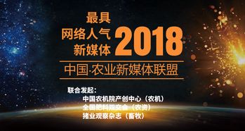 盛大网络官网2025年神秘入口大曝光，权威推荐解锁新纪元？