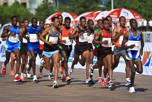 《马拉松》2026年3月发售，40美元体验全新竞技魅力