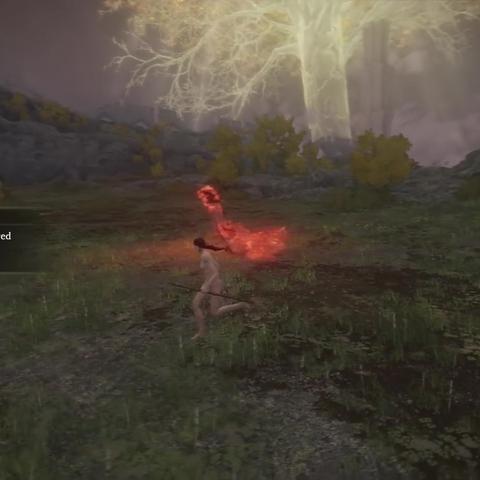 艾尔登法环巅峰之选：揭秘最强武器新传奇