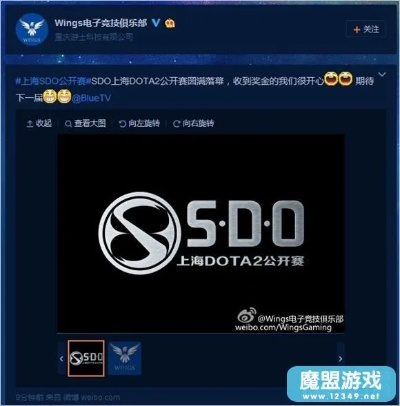 揭秘 www.sdo.com，2025年游戏高手如何解锁独家福利与巅峰体验？