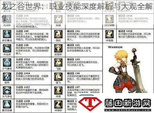 风之谷ol，2025年隐藏职业揭秘，如何一键突破等级瓶颈？