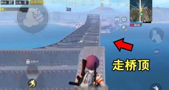 小草彩虹岛，2026终极秘境还是玩家幻象？权威深度解析