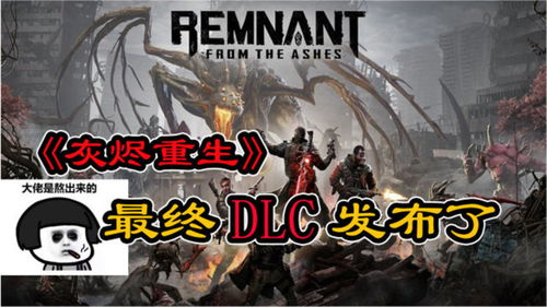 辐射重生：致敬DLC巅峰，探寻末世新传奇