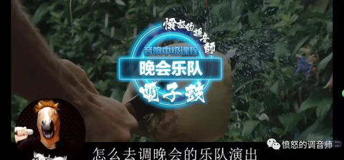 下载彩虹岛，2026年Q1最新版如何秒速获取？权威实测解析