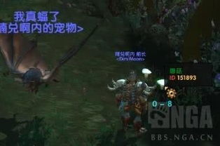 龙之谷装备大全实战大揭秘，2026年稀有神装谁主沉浮？