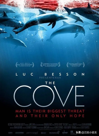 探索《海豚埃科》深层内涵,不止海豚,全新价值即将揭晓 探索《海豚埃科》深层内涵,不止海豚,全新价值即将揭晓