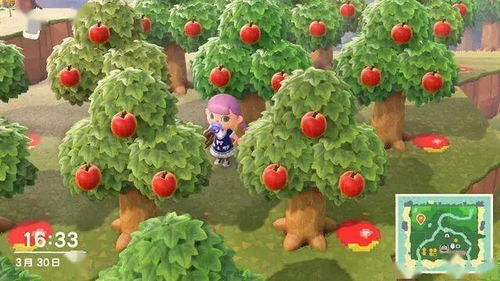 轻松致富攻略：揭秘《动物森友会》摇钱树种植秘籍