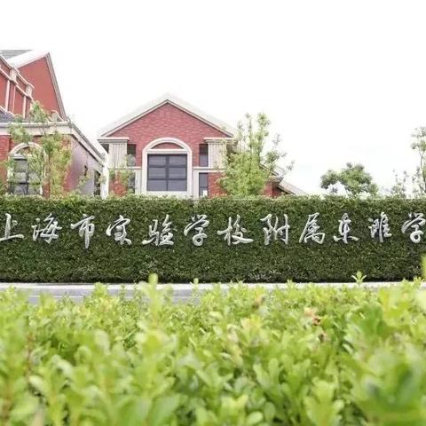 赛博候鸟二游代肝生存攻略：揭秘新纪元价值法则