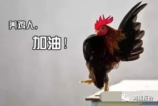 宠物养成新潮流，揭秘《伊莫》搜打撤改写秘籍