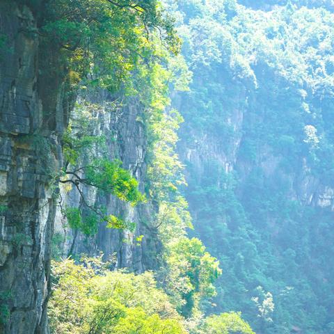 探险升级！地心秘境探险之旅震撼开启