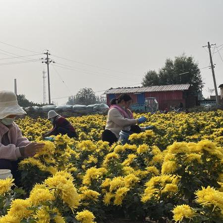 大红火商城交易实测，如何快速变现装备不封号？