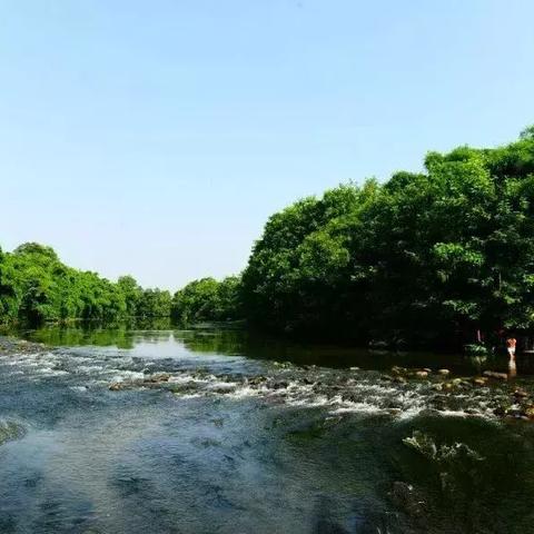 天堂W多少防挂龙谷？实战拆解机制与生存门槛