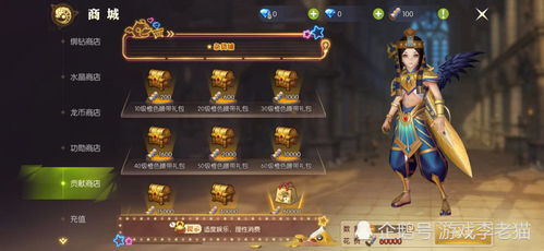 龙之谷团购仓库怎么破？揭秘高玩物资流转秘籍