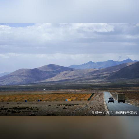 山海创世录2025最新T0阵容推荐与零氪速通避坑指南