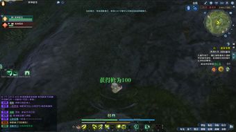 别再乱送礼物!天涯明月刀灵犀点获取与属性提升深度解析 别再乱送礼物!天涯明月刀灵犀点获取与属性提升深度解析